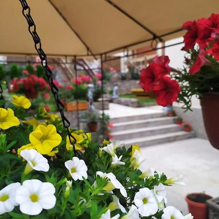 Apartament  Nisz Zewnętrze zdjęcie