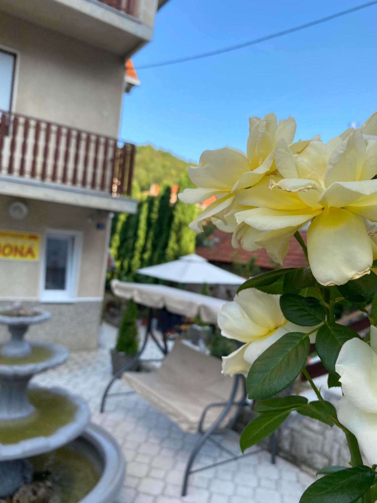 Apartament  Nisz Zewnętrze zdjęcie