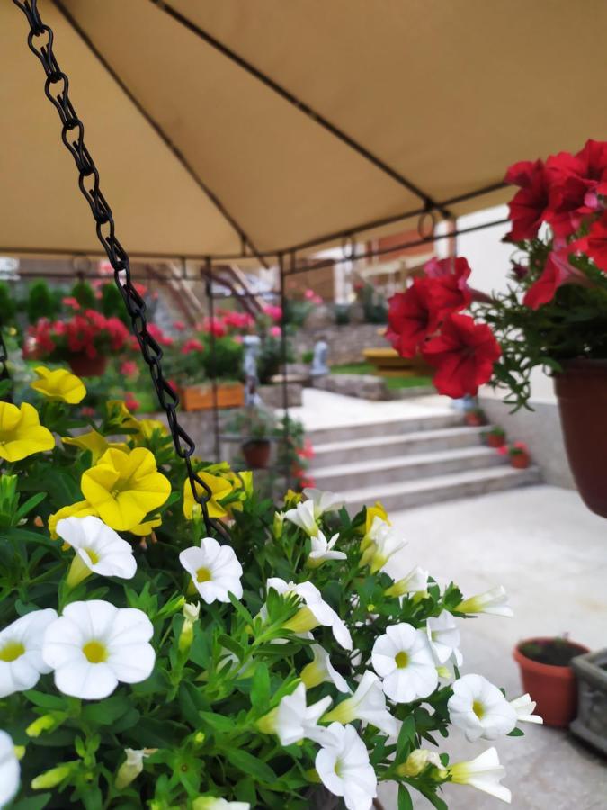 Apartament  Nisz Zewnętrze zdjęcie